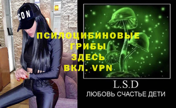 гашик Каменск-Шахтинский